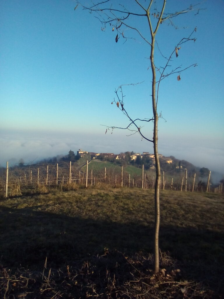 Autunno desiderio lasciare andare nuovi progetti